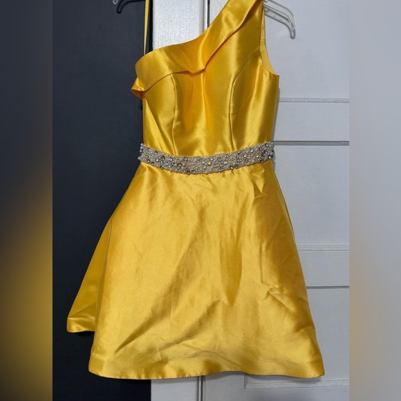 Dresses & Skirts - Stunning Ashley Lauren